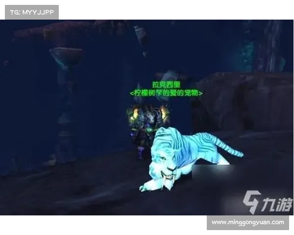 魔兽世界猎人：宠物技能释放攻略